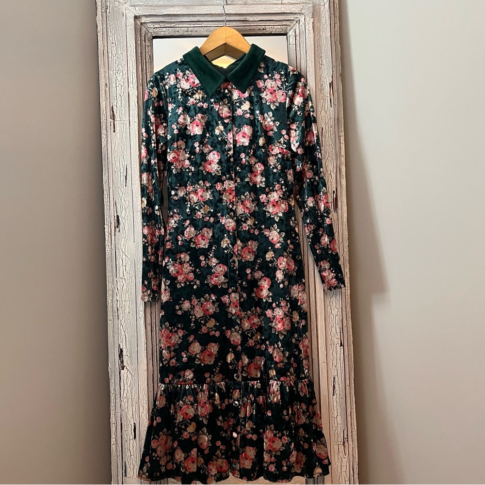 Ivy City Co Velvet Collared Dress